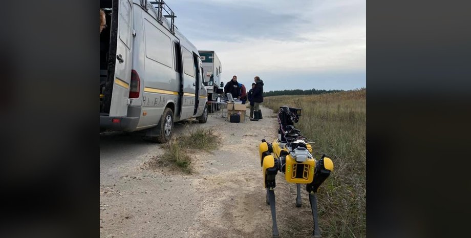 Фото: Скриншот