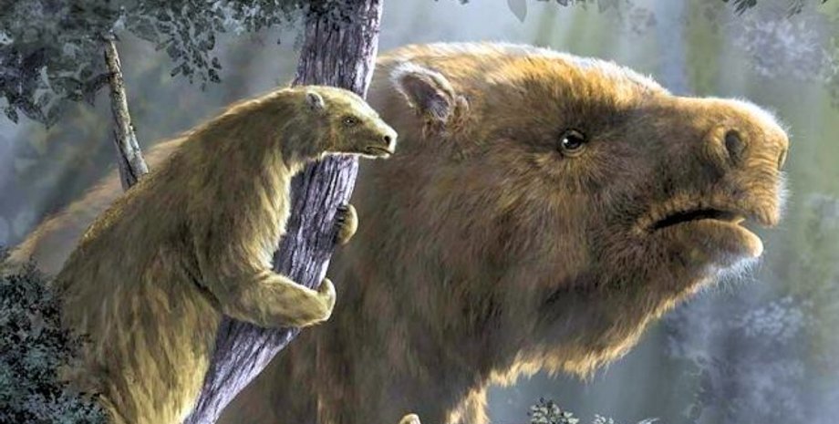 ленивец гигант