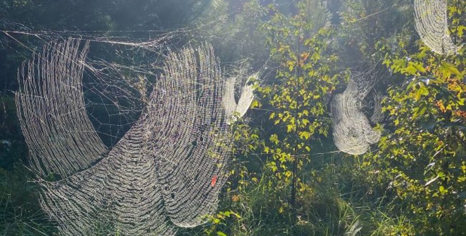 погода в украине, погода на выходные, погода 7 сентября, погода 8 сентября, погода в киеве, погода в киеве