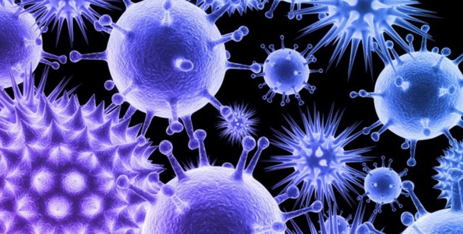 вірус спалах загроза В Індії стався новий спалах смертельного вірусу Ніпах: чи існує загроза нової пандемії