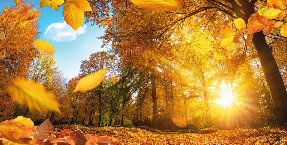 Фото: Getty Images