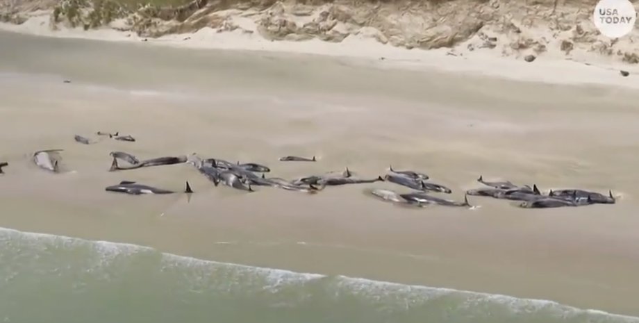 Фото: скриншот из видео Usa Today