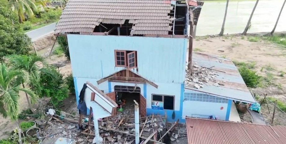 Два голуби вибили вікно після чого завалився дах через що постраждала мешканка будинку