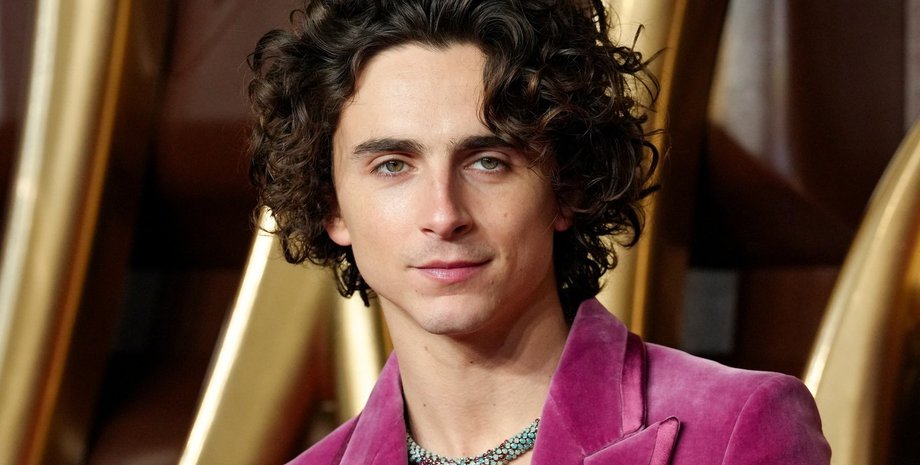 Тіматі Шаламе, актор, двійник, конкурс двійників, сша нью йорк