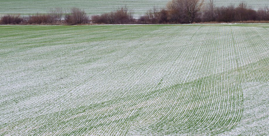 поля, зима, сільське господарство, ринок землі