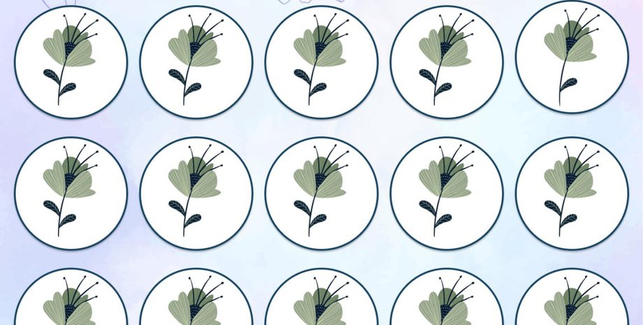 Интересная задача на внимательность: нужно отыскать одну необычную лилию среди 15 цветков