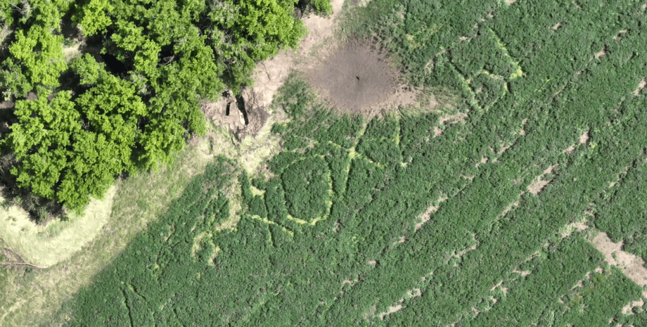 Российская армия, надпись в поле, война в Украине, фонд "Повернись живим"