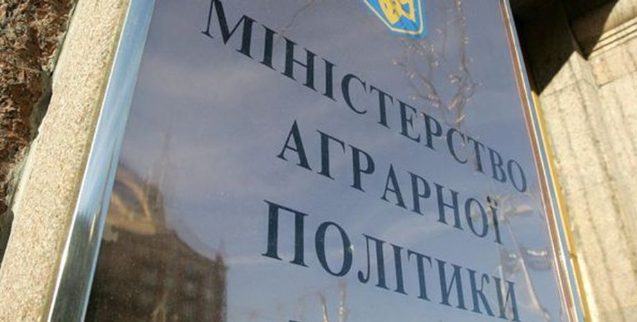 Фото: Телеграф