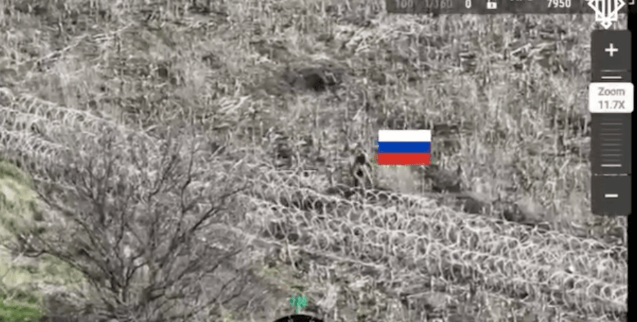 Нацгвардия, НГУ, штурм, штурмы, штурмовики, Покровск, Покровское направление