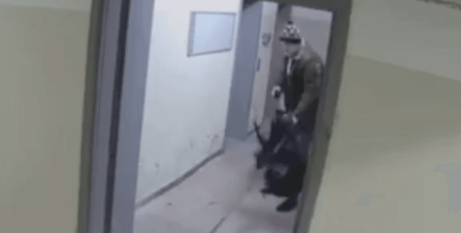 живодер, пес