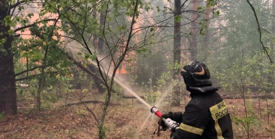 пожежа, ліс