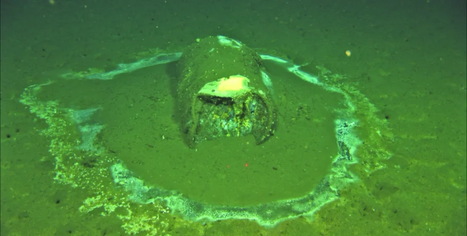 ддт, Дихлордифенілтрихлорметилметан, сша, хімічна речовина, хімічна речовина океан, забруднення, забруднення океану, навколишнє середовище, довкілля