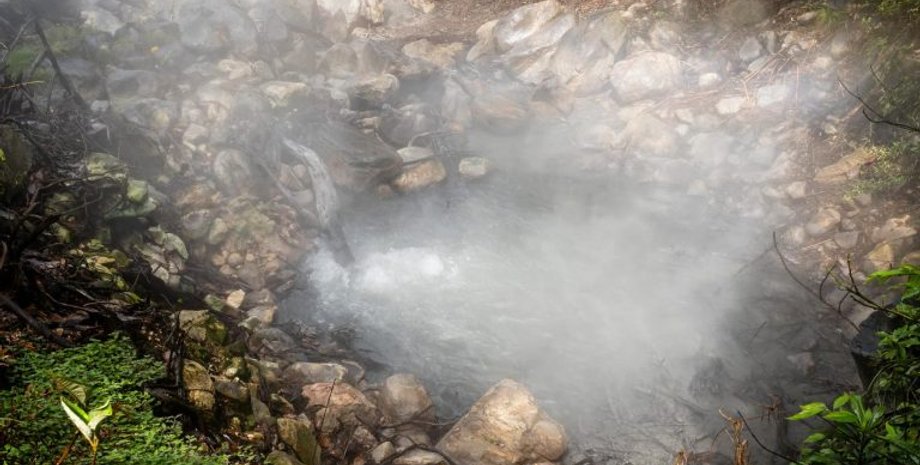 углекислый газ в лесу