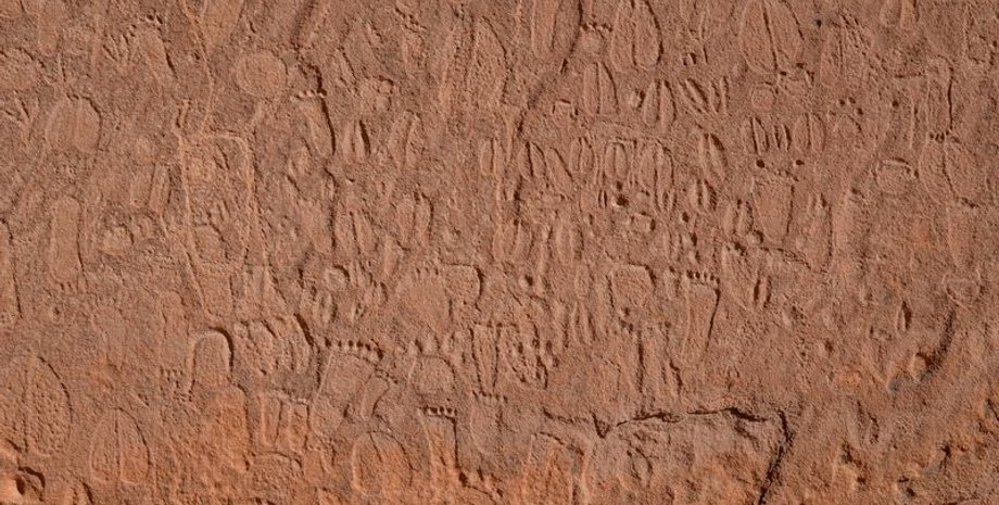 следы, Намибия, скала, резьба, животные, открытия, исследования, гравюры, детализация, люди, виды животных, каменный век