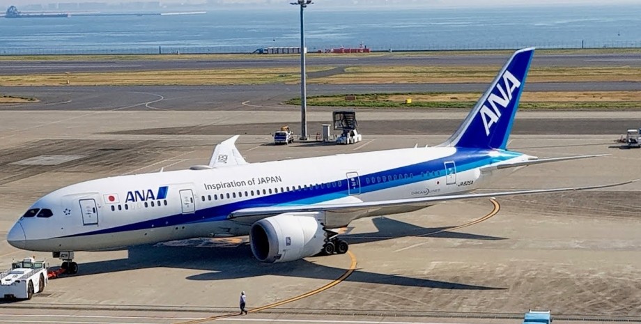 Boeing 787, Dreamliner, самолет, фото