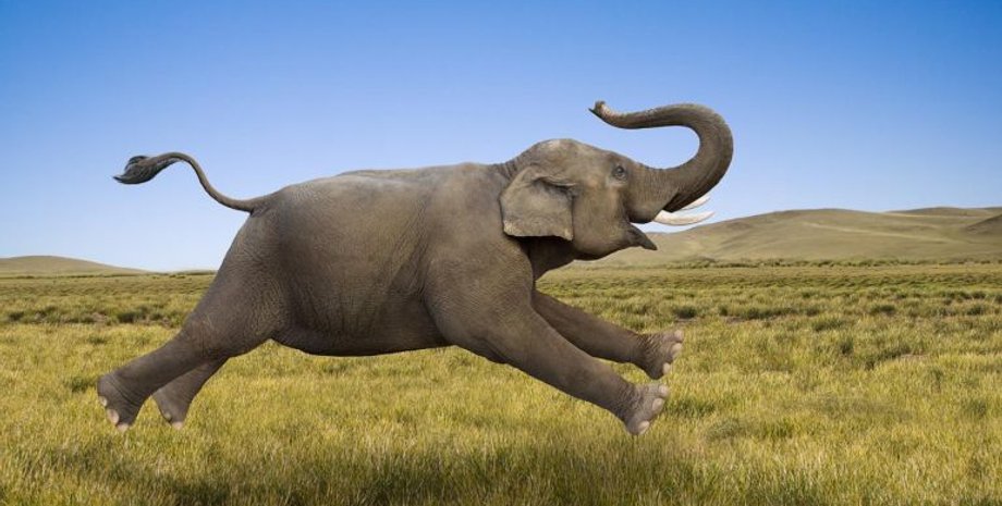 Фото: md-eksperiment.org