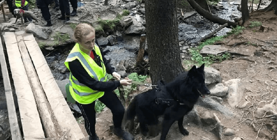 пошуки дитини, говерла