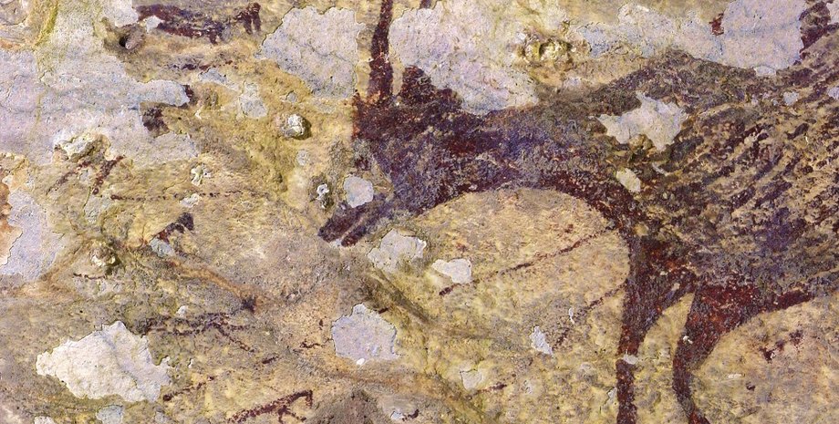 Фото: Griffith University