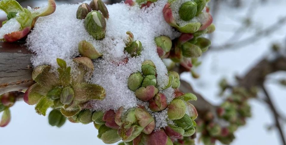 Сніг у квітні, погода в Україні