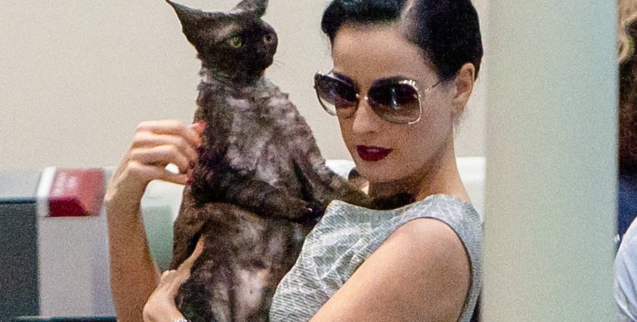 Діта фон Тіз