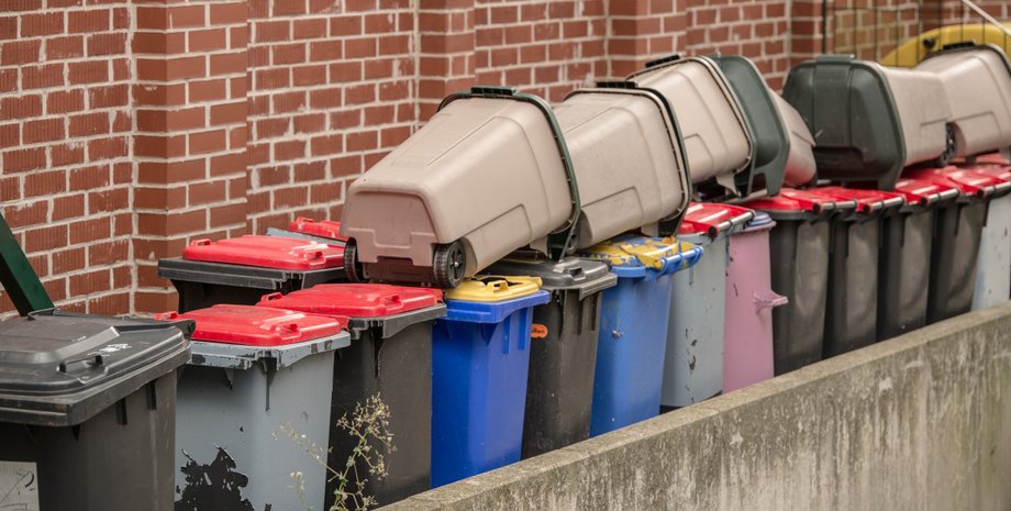 Фото: pxhere.com