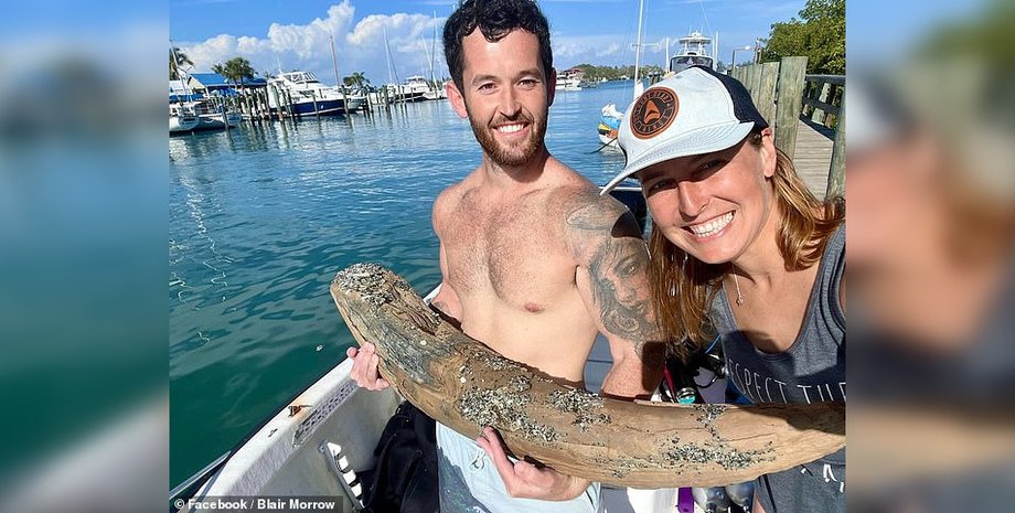 Бивень мамонта, мастодонт