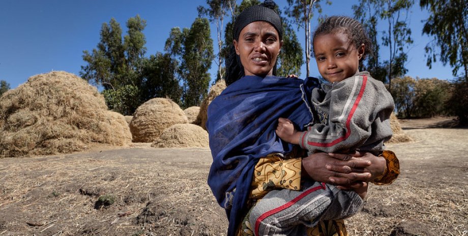Ефіопія голод посуха продовольча криза Сомалі опади худобу напади тварини