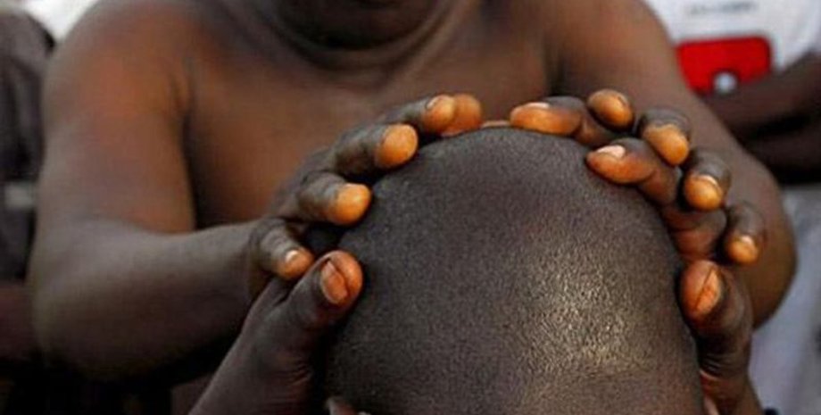 лиса голова, африка