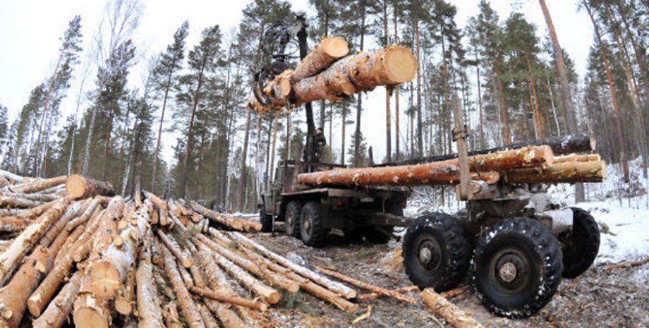 Фото: Капитал