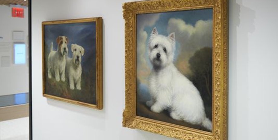 Фото: AKC Museum of the Dog