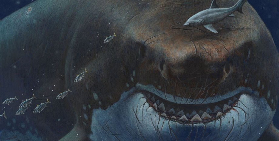 Фото: Esther van Hulsen