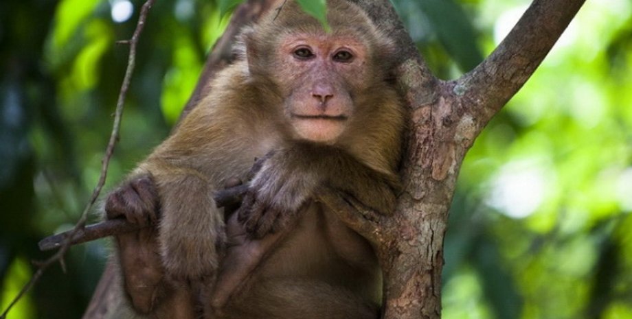 Фото с сайта КРА - Украинцы онлайн