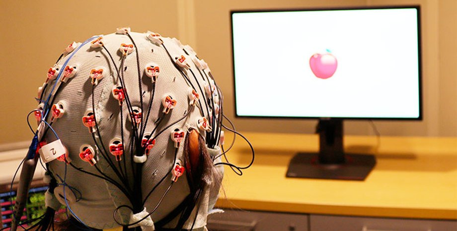 мозок, активності, реєстрація