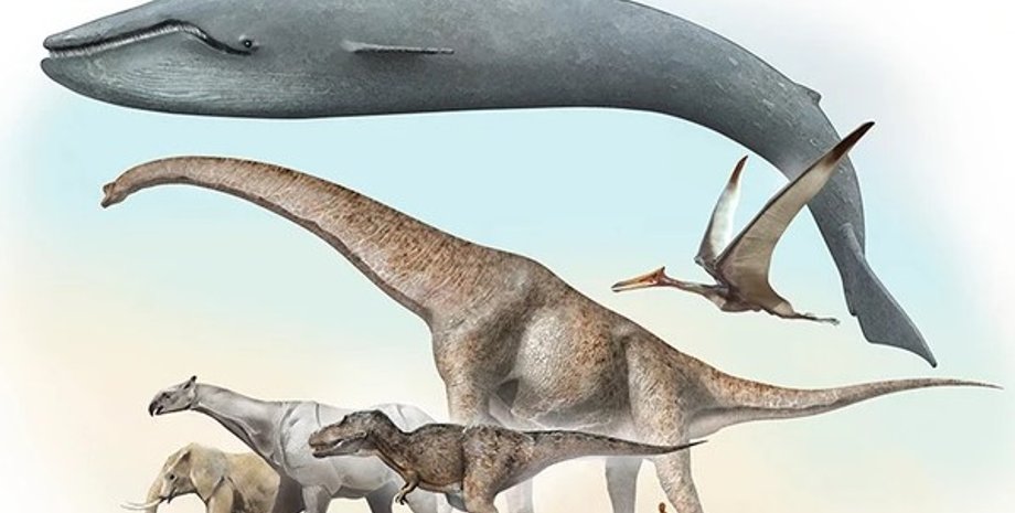 завроподи, динозаври