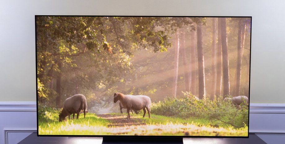 Телевизор LG C5 лучшие телевизоры 2025