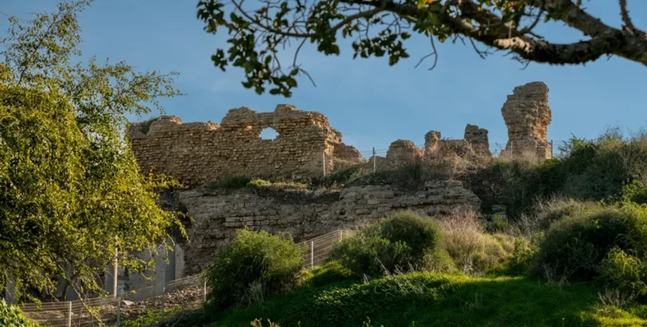 археология, скелеты, останки, древние люди, находка, скелеты младенцев