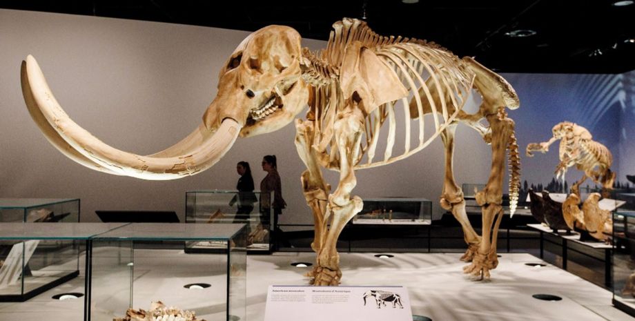 каменные орудия, археология, древние люди, орудия труда, находка