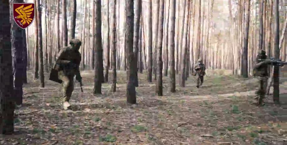 война в Украине, житомирские десантники, 95 бригада, ДШВ, ВС РФ