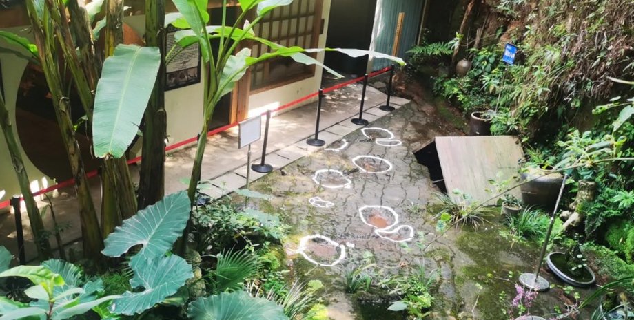 окаменелости, динозавры, китайский ресторан, завропод, следы динозавров, необычные следы, раскопки, исследования, растительноядные динозавры