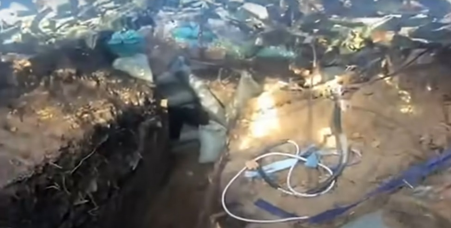 серебрянский лес, война в украине, война с россией, луганщина, дпсу, шквал