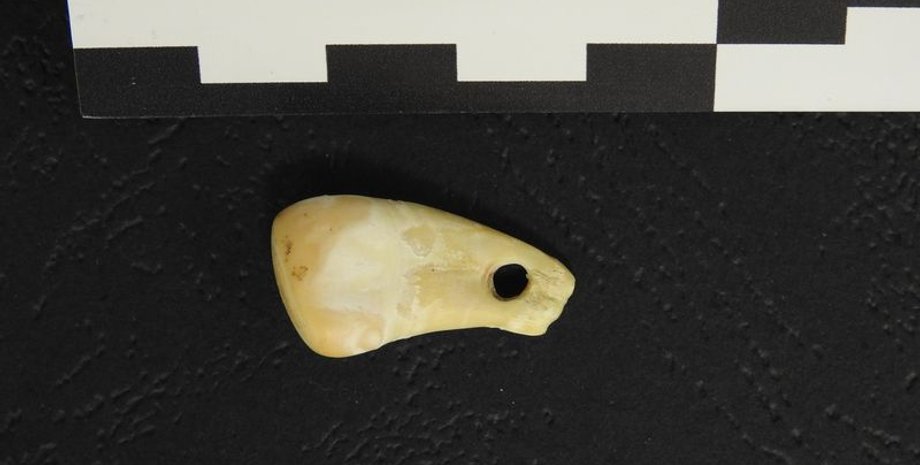 стародавня ДНК, доісторичні прикраси, Денисова печера, скелетні артефакти, неруйнівна екстракція ДНК, олень вапіті, родовід людини, індіанці Америки, давні північноєвропейці, древні люди, дослідження, археологія, дослідження