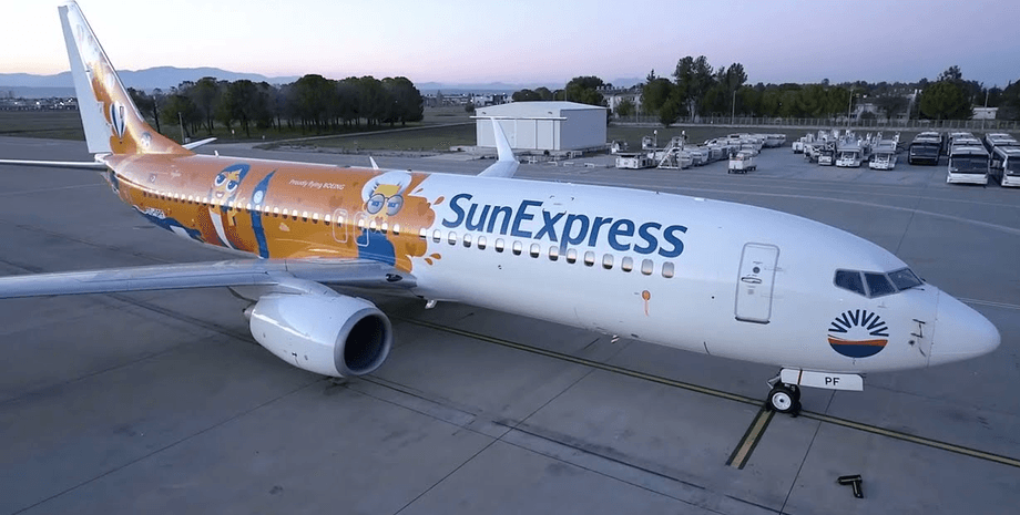 Самолет, SunExpress, аэропорт, выгнали из самолета, сняли с рейса, девочка с аллергией, пассажиры самолета, бронирование рейса