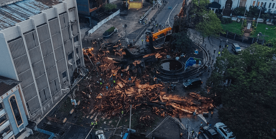 Хлопковое дерево, дерево, ураган, ураган снес дерево, символ Сьерра-Леоне, погода