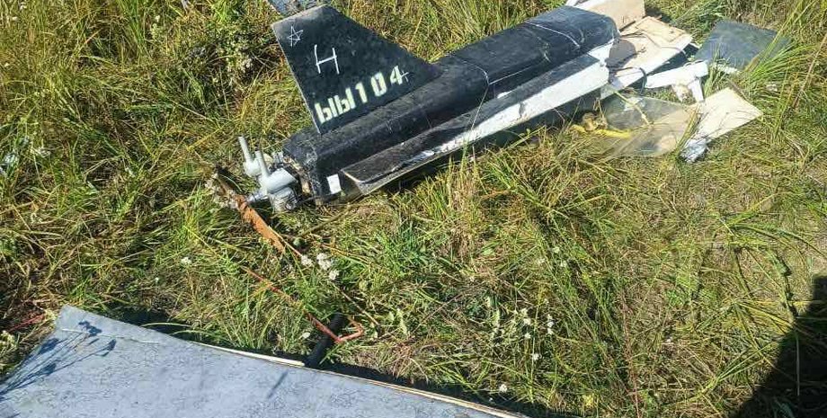 Боротьба з дронами РФ