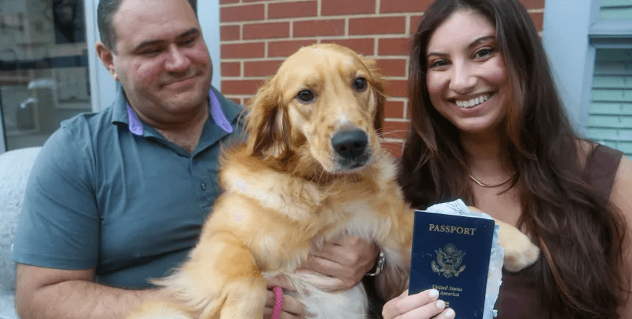 Собака сгрызла паспорт, погрызла паспорт, сгрызла паспорт за неделю до свадьбы, испортила паспорт, собака, животное