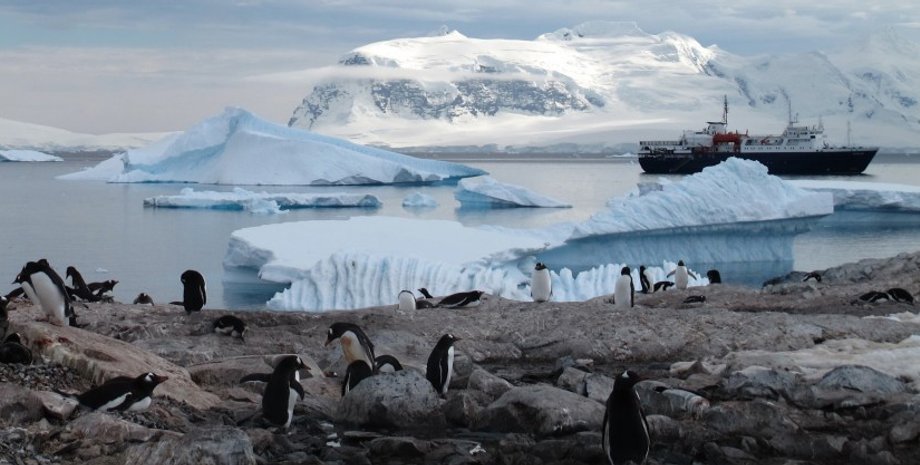 Фото: pxhere.com