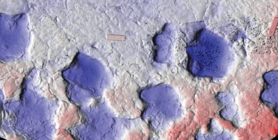 Благодаря следам динозавра ученые открыли совершенно новый вид динозавры, следы динозавров, динозавры следы