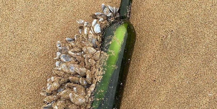 Записка от пассажира круизного лайнера, таинственное послание из прошлого, курьезы