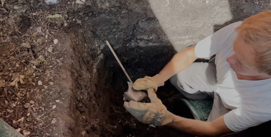 Розкопки, знахідка, пляшки, посуд, земля, задній двір,