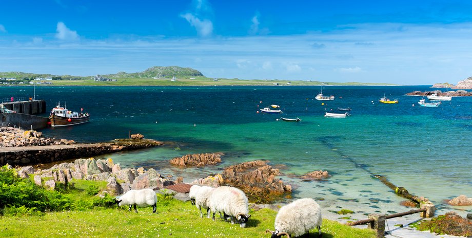 В Шотландии приглашают жить на необычном острове: дают жилье, питание и премию